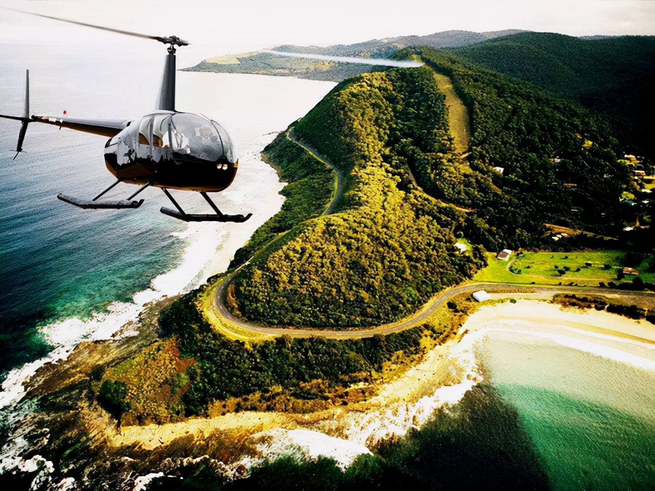 鸟类杀手！这条蜈蚣在孤岛上默默担当着食物链的最顶端掠食者