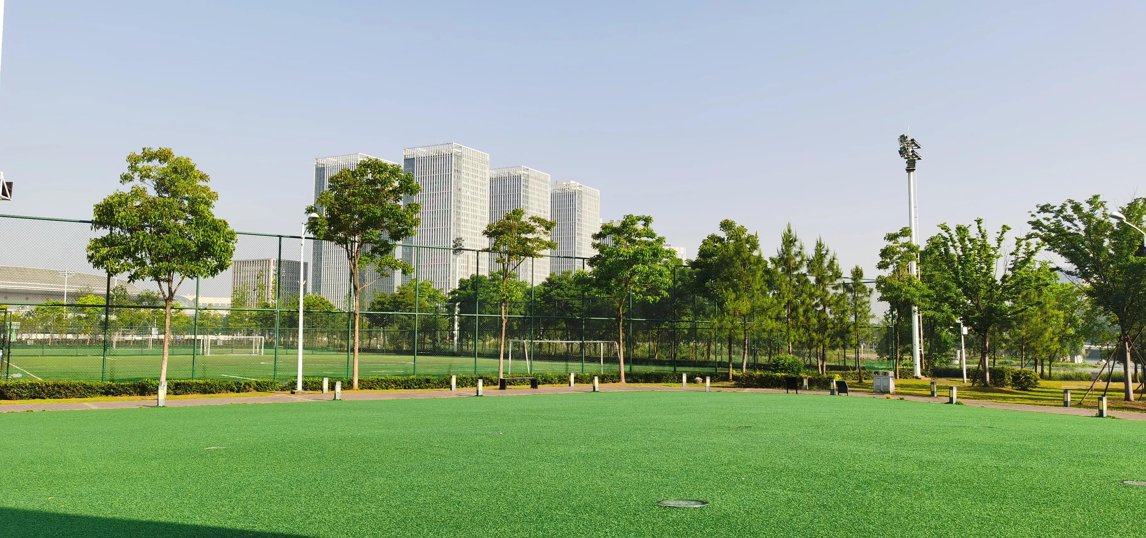 沌口足球主题公园,沌口足球公园场地分布图