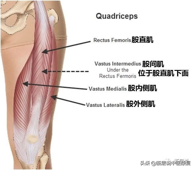 天气冷运动护膝推荐哪种,天气冷了保暖护膝