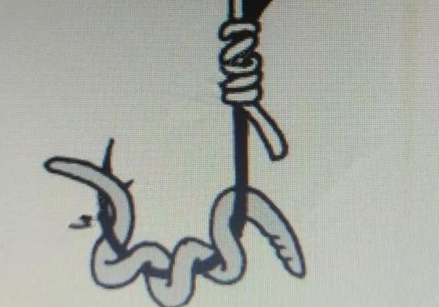 夏季蚯蚓的5种挂法,鱼蚯蚓的正确挂法