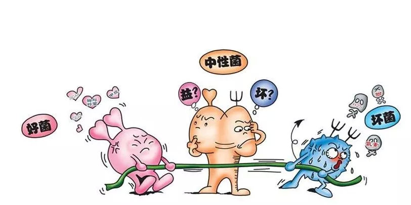 崔玉涛推荐益生菌能治积食么,崔玉涛益生菌治肠炎