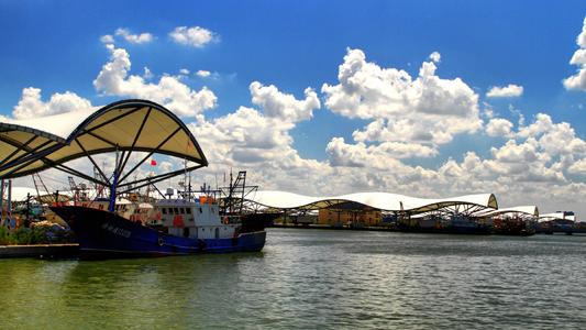 吕四海鲜最正宗的做法,吕四海鲜购买教程