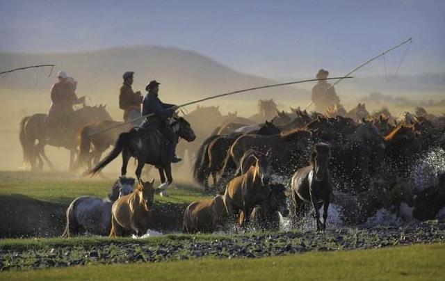 那些喜欢搞小圈子小团体的人,为什么有些人只适合融入小团体