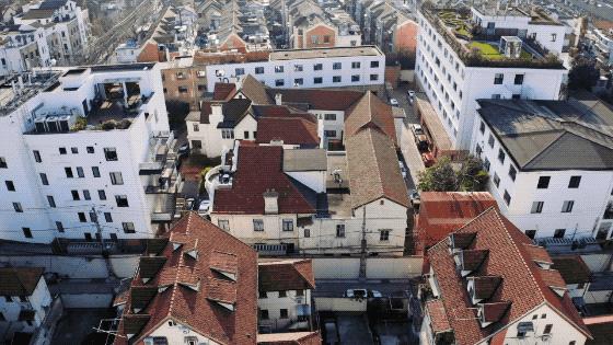 安家大结局有多少集,安家大结局解说