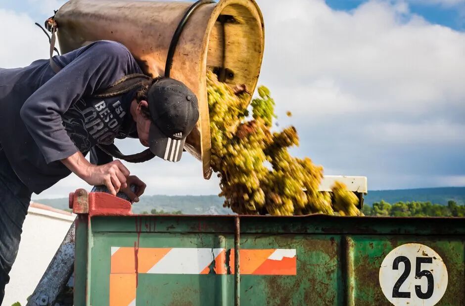 葡萄酒分类大全,葡萄酒杯的分类
