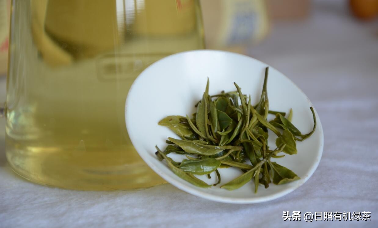 日照绿茶新茶露天春茶,日照绿茶今年的春茶有吗