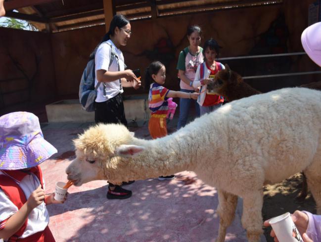 福清古镇推荐,福清旅游景点打卡地推荐