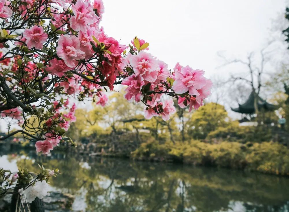 五一放假安排调整通知 (五一放假安排高速免费)