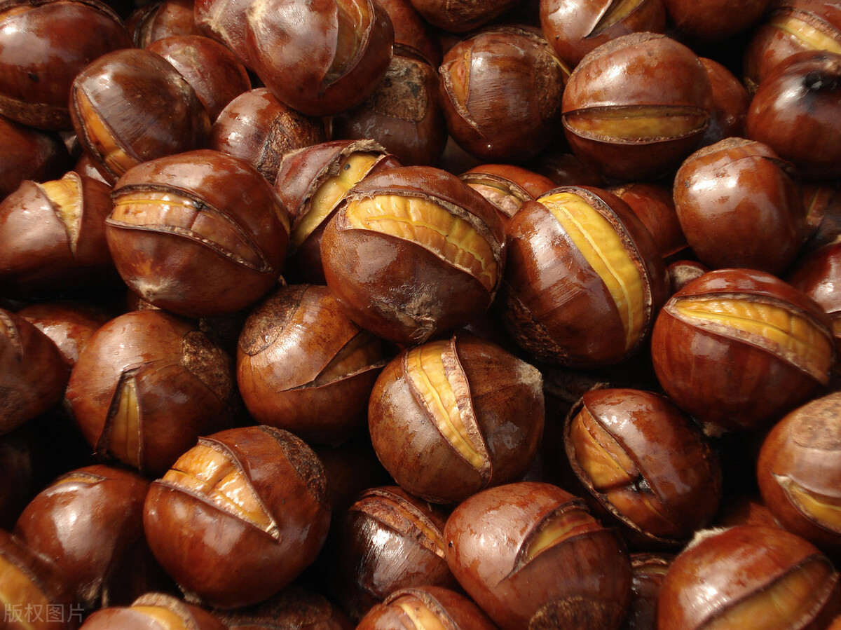 素食者注意长期吃素有六大危害,老年人吃肉好还是吃素好