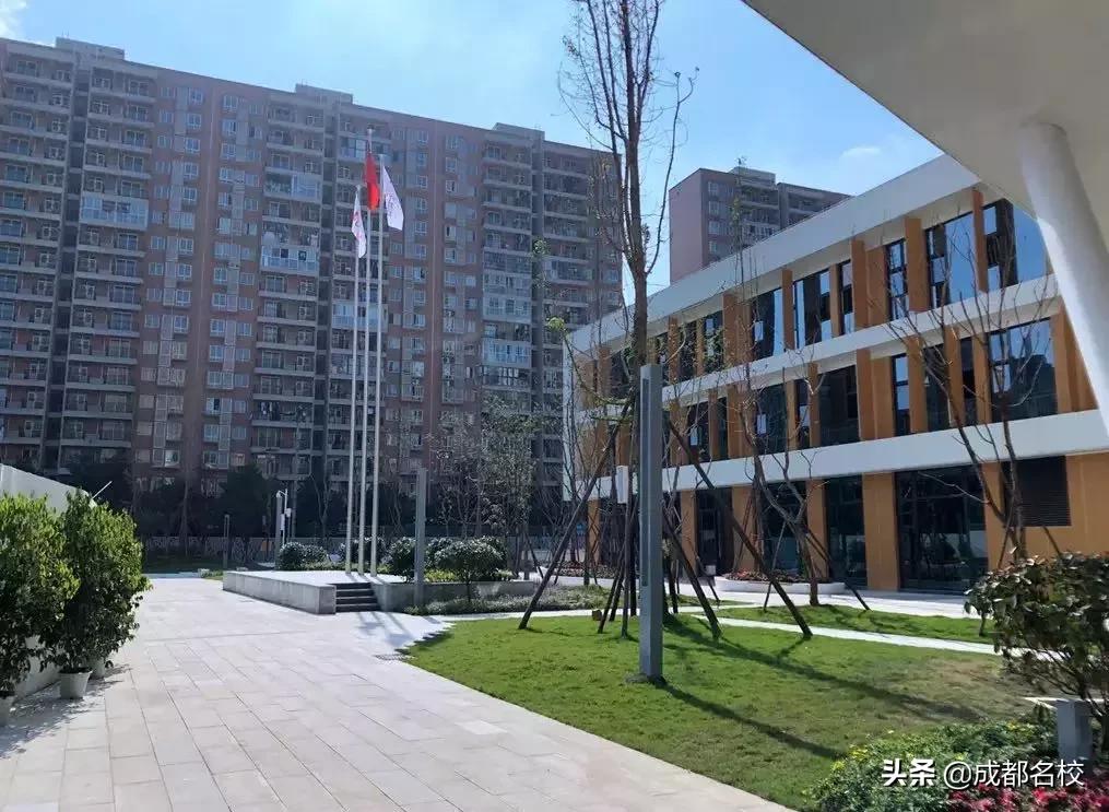 成都南门中小学,成都南门著名小学