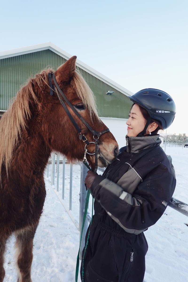 飘雪的季节,你要来一次冰岛(附冬季环游攻略)