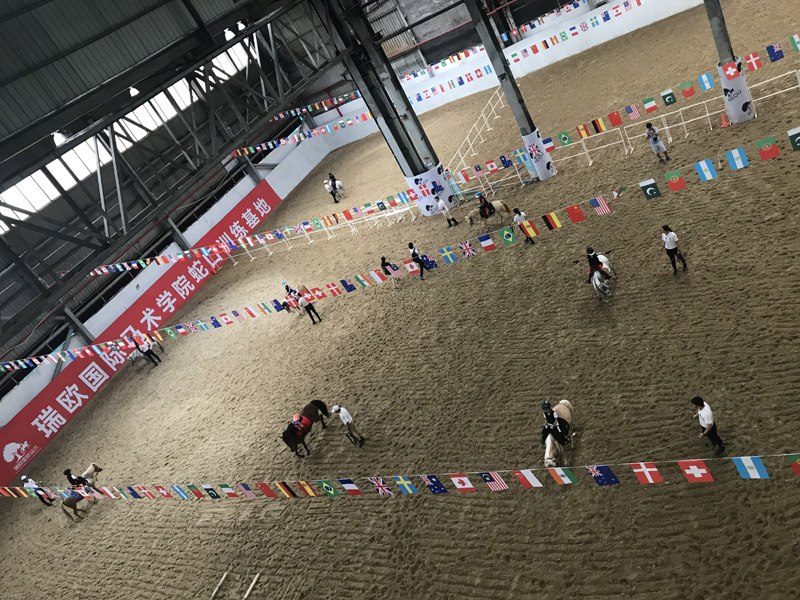 卡丁车、冲浪、潜水…深圳蛇口有个宝藏体育小镇