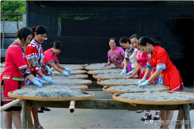 湘西张家界野莓茶,张家界高档旅游特产土家莓茶