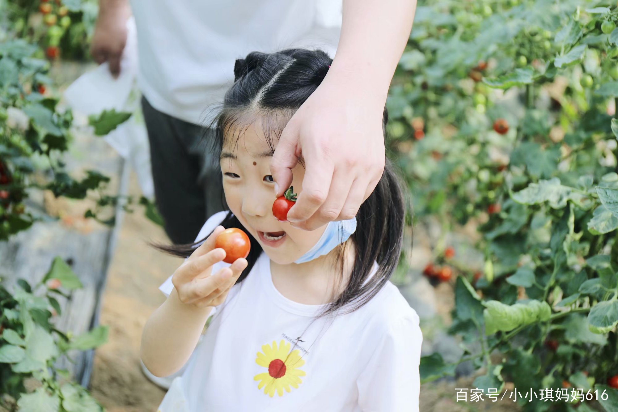 南京周边适合小众安静的旅行地,南京周边一天度假最好的地方