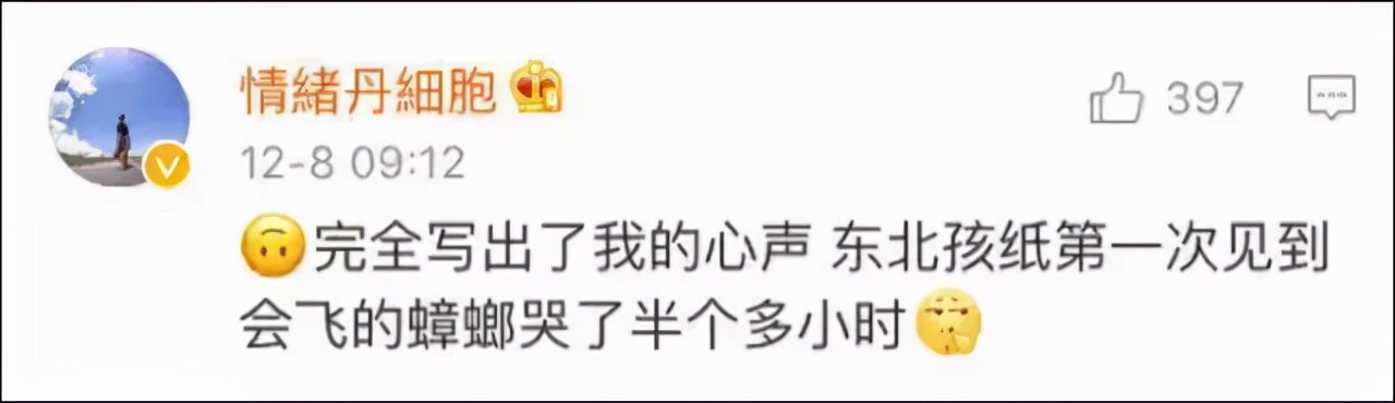 北方人第一次见到会飞的蟑螂,北方人第一次看到会飞的蟑螂反应