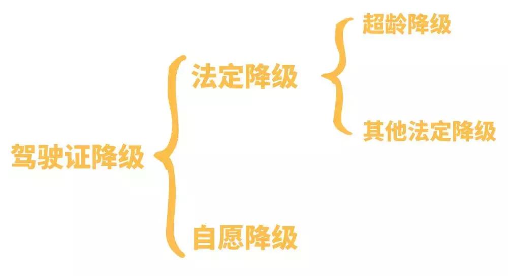 ab类驾驶证多大年纪降级,ab级驾驶证酒驾降级后如何恢复