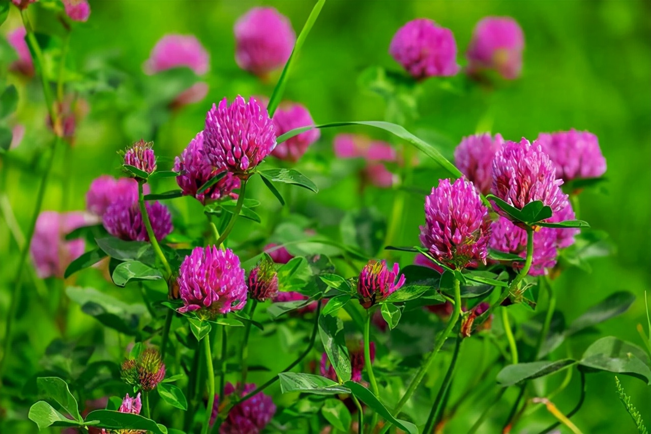 不开心话语短句,短短几句话让心情豁然开朗