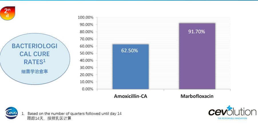 哪种抗生素能治疗乳房炎,乳房炎用什么中药最好