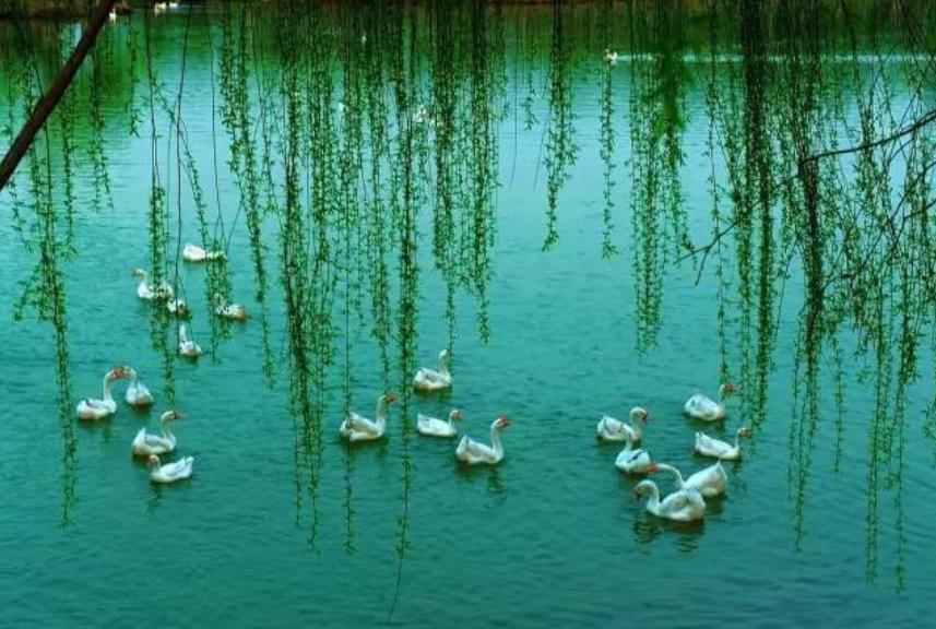 十首写春天的诗,十二首春词