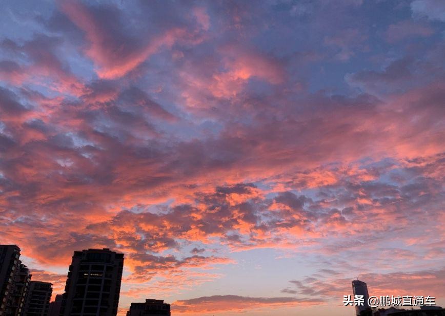 昨天深圳晚霞喜提热搜！美爆了，一大波晚霞图片来袭