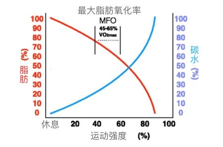 减脂适合做什么运动,适合中年人减脂的运动