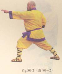 少林心意门拳视频教程,少林长护心意拳图解