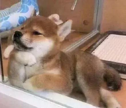 日本药妆店的必买护肤品排行榜,日本十大最值得购买的药妆