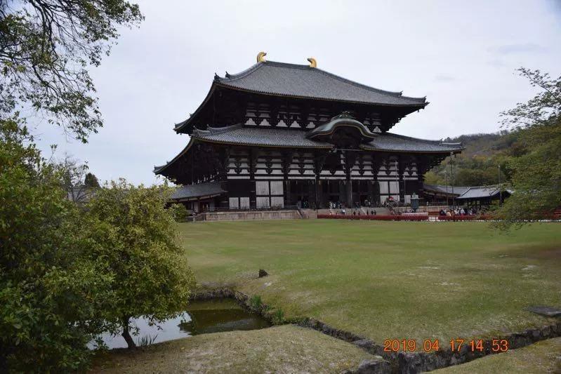 浪漫樱花完整版3分钟,《浪漫樱花》