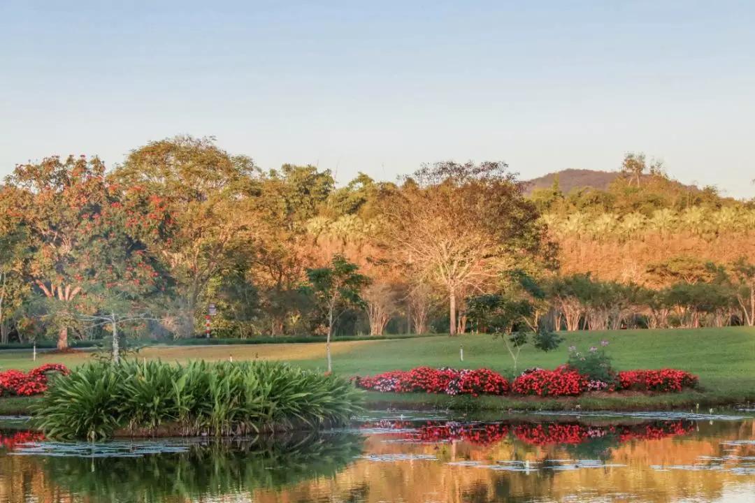 春节风景绝美的旅行地小众,春节云海旅游攻略