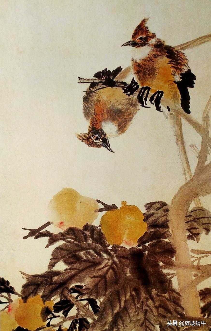 国画飞着绶带鸟的画法步骤,国画绶带鸟的画法