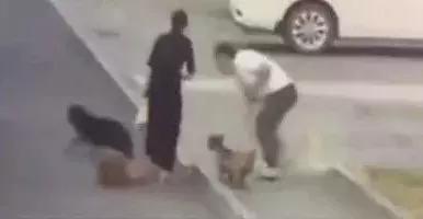 女子遛狗不牵绳！男子遭狗撕咬*体下**受伤，狗主人四天不露面