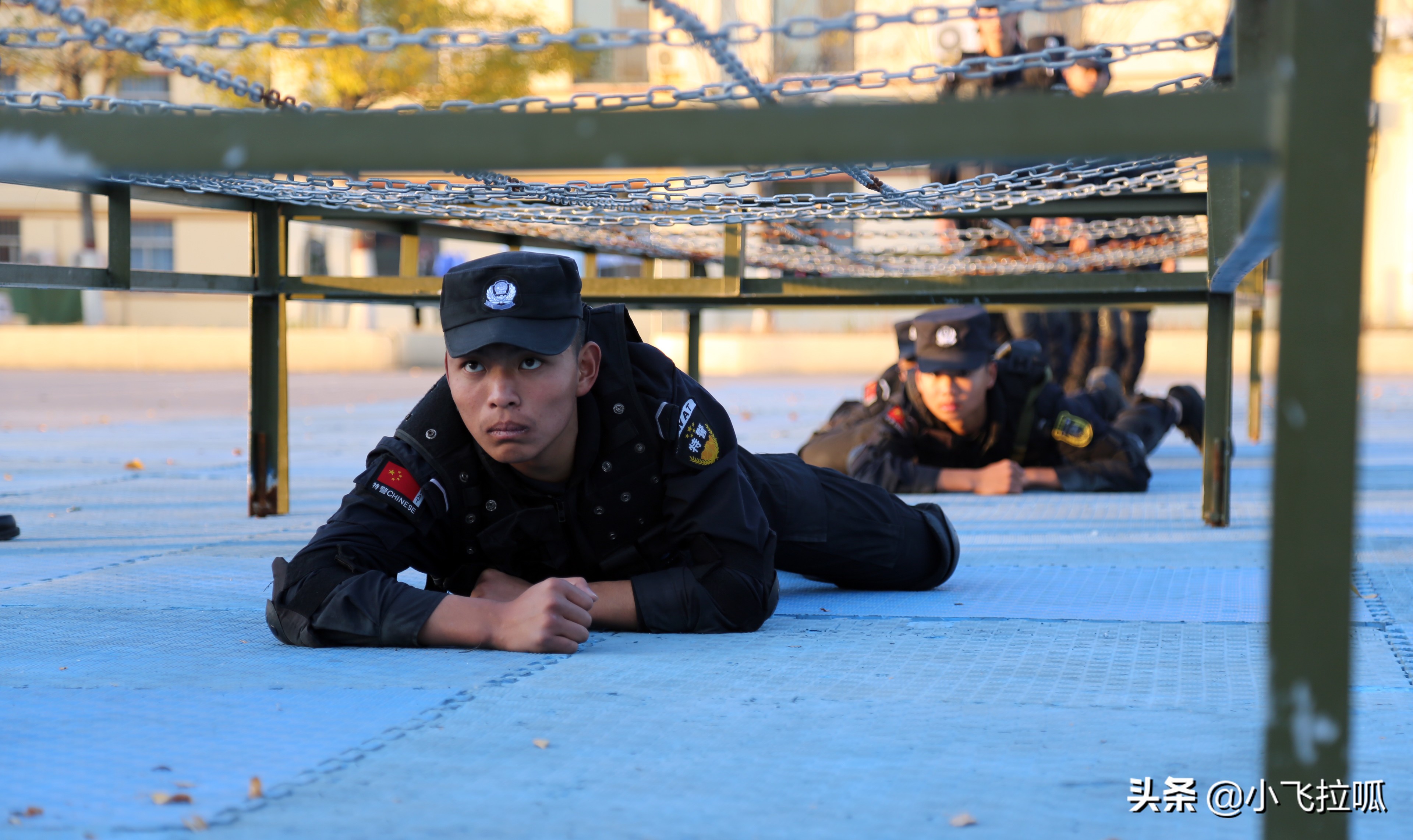 东营金盾司法警官学校,山东东营金盾司法警官学校怎么样