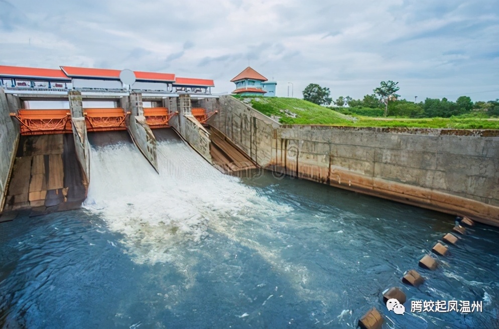 腾蛟镇发展,腾蛟凤巢社区