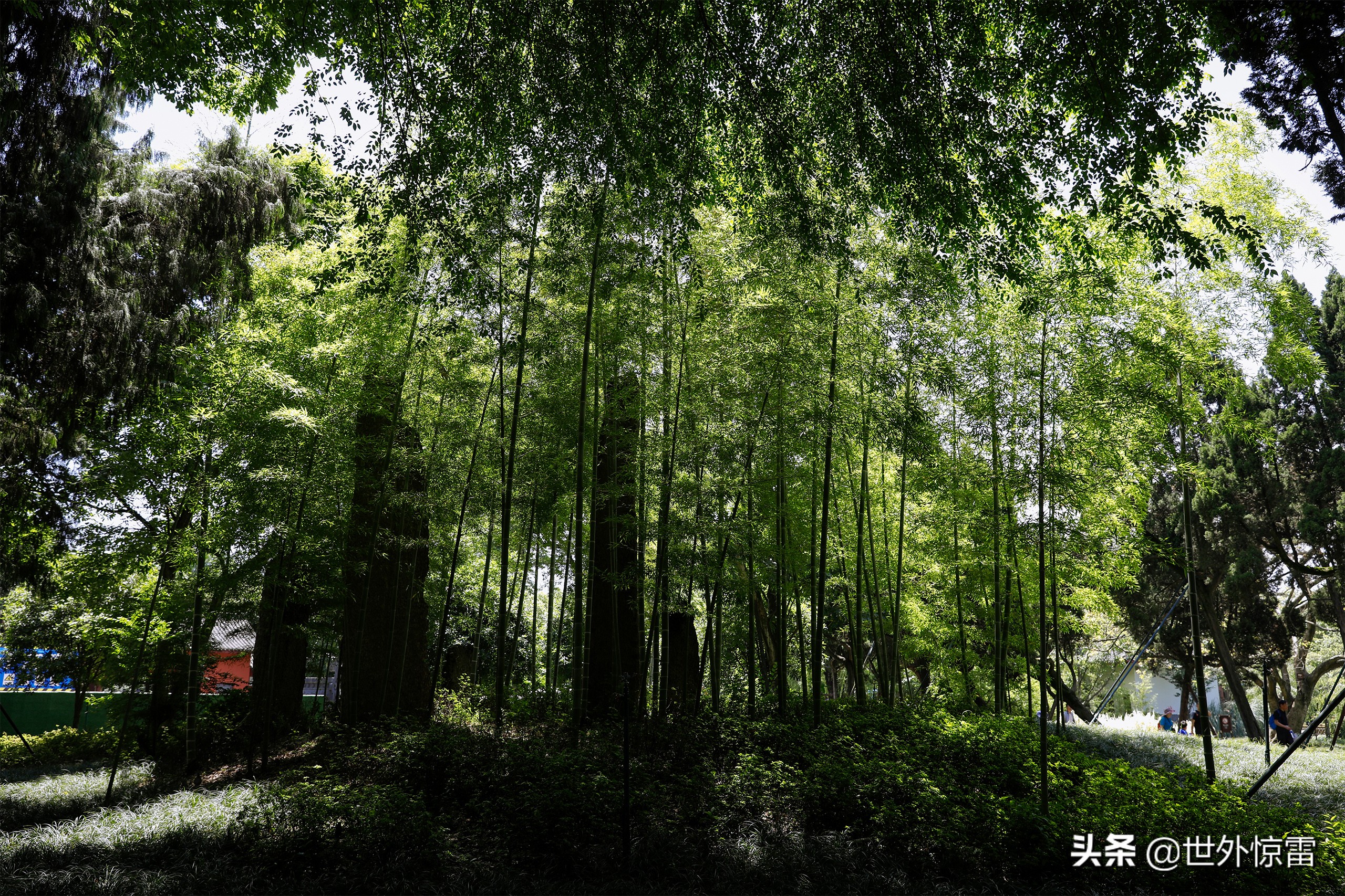 武侯祠汉昭烈庙游记,武侯祠游记完整版