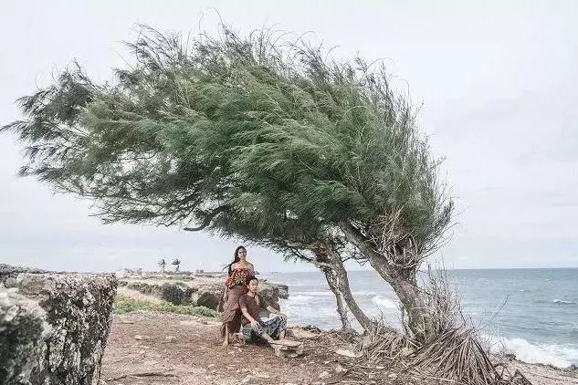 126天环游世界纪实,两位夫妻环游世界400多天