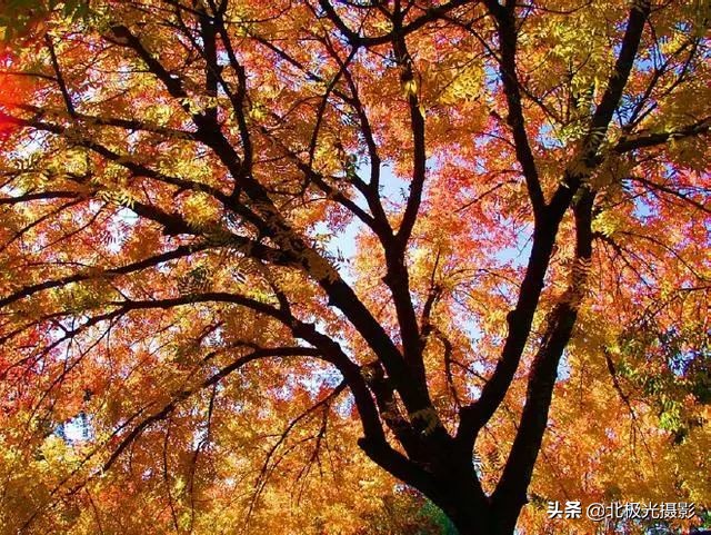 摄影一定要后期处理吗,摄影后期有哪些步骤