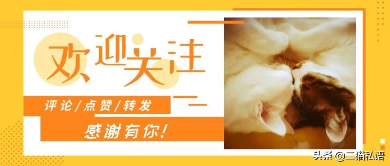 猫咪咬电线怎么办,为什么半个月大的猫咪喜欢咬电线