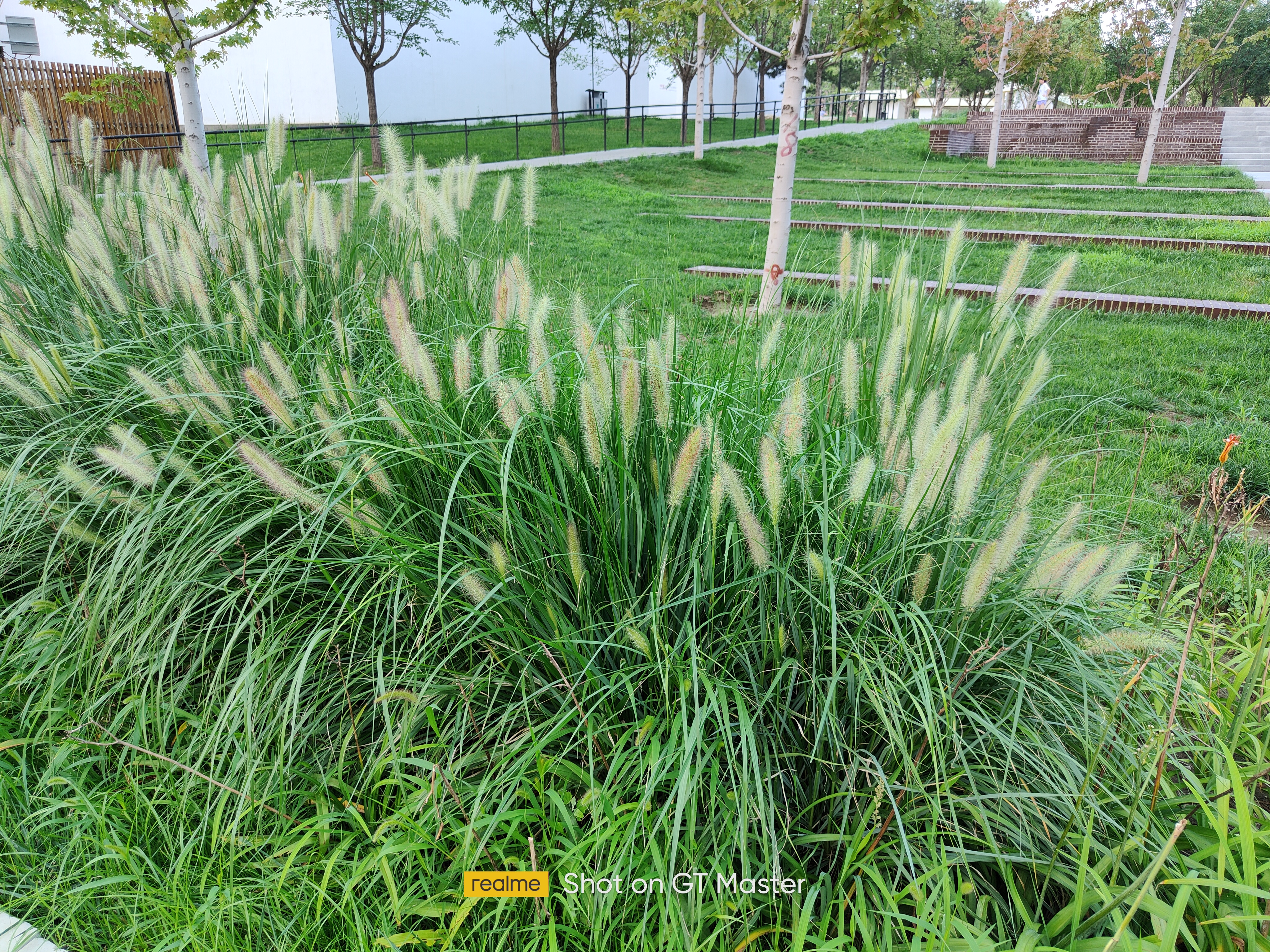 realme真我gt大师版白色开箱,realme真我gt大师探索版测评