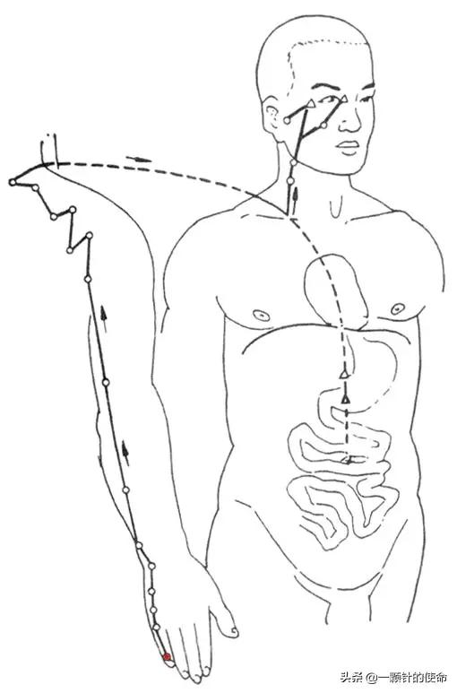 肠胃功能紊乱针灸,针灸能促进肠胃蠕动吗