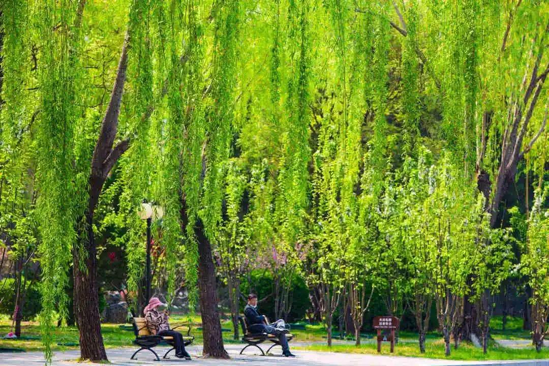 四月发生的事,东城发生的事