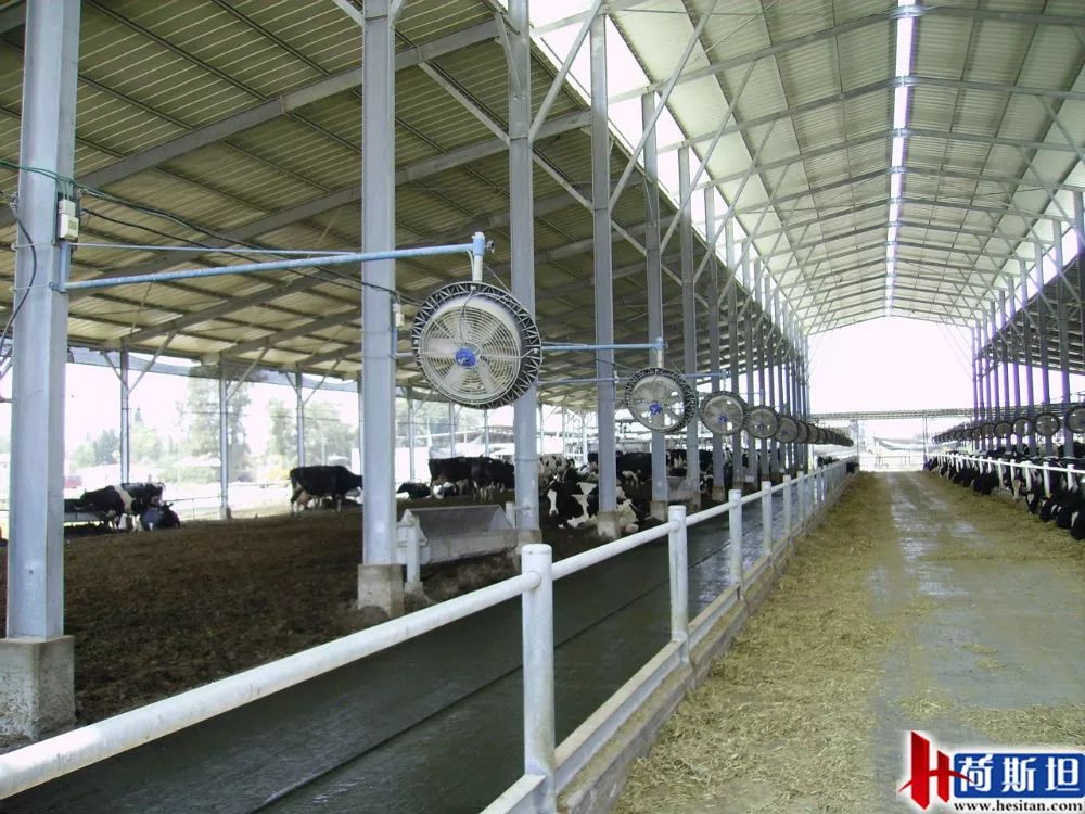 以色列实战经验:热应激管理4大关键点夏季疾病防控