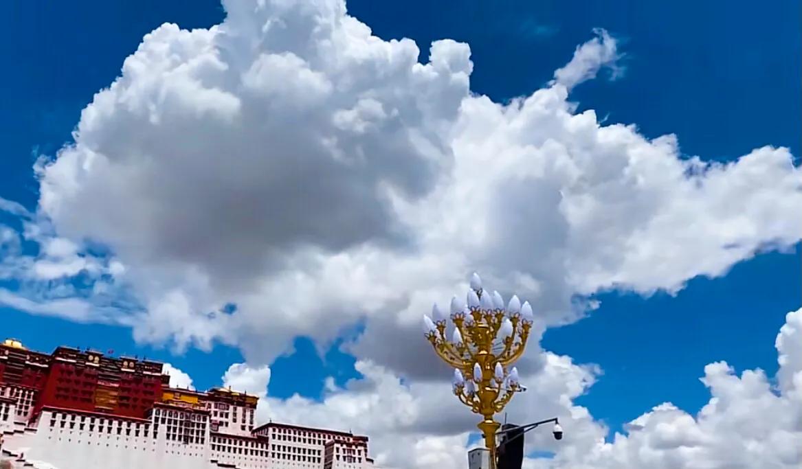 灯火辉煌的布达拉宫,洁白无瑕的布达拉宫