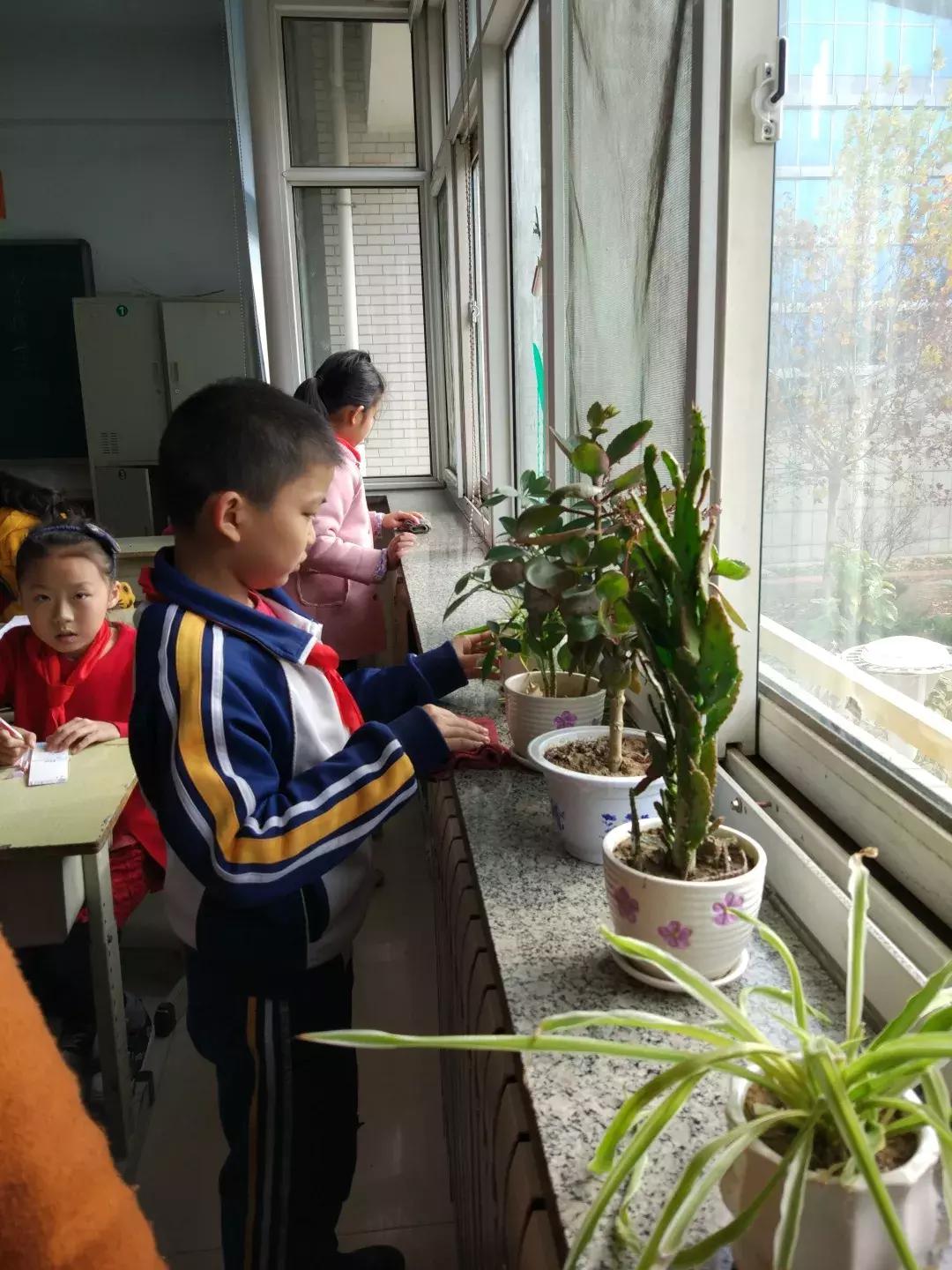 潍坊市育华学校实验班,潍坊市育华学校有什么班