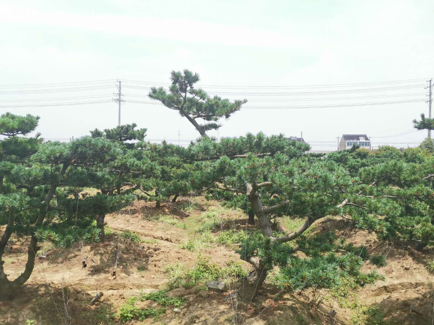 叹为观止自然风景,叹为观止高清图