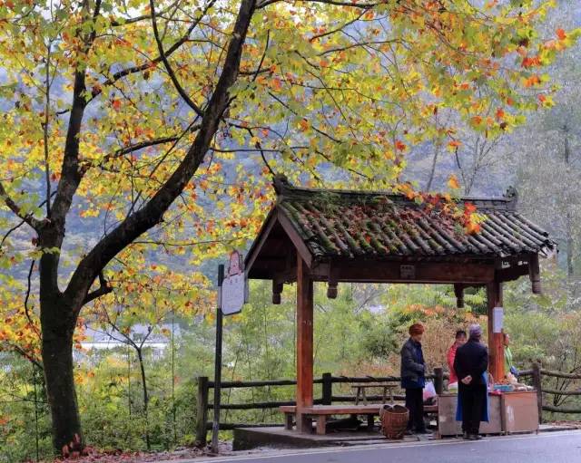 有多少人被国家旅游局列入黑名单 (旅游十大黑幕真实案例)