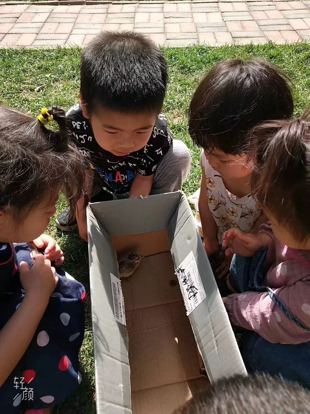 你知道吗？石家庄还藏着这样的幼儿园丨坤宁说房