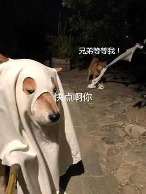 韩国面膜单片,5毛钱一张的面膜