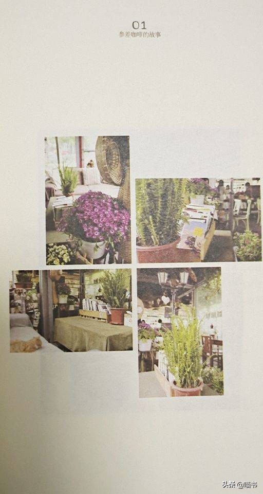 就想开间小小咖啡馆小说,就想开间小小咖啡馆