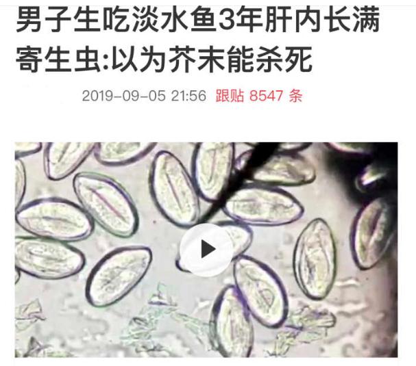 日本三文鱼寄生虫感染,三文鱼最可怕的寄生虫