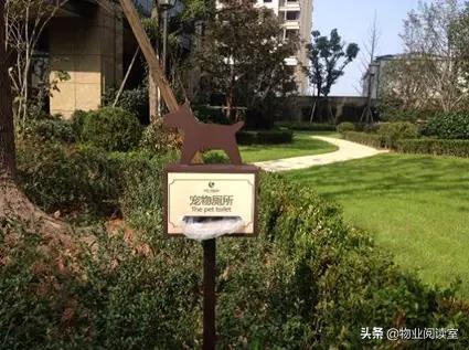 绿城物业精致完美,绿城物业服务到底哪些细节好